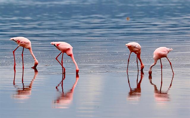 africa-e-oceano-indiano (25).jpg